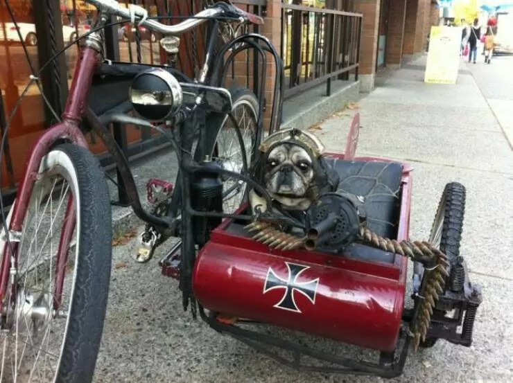 Picdump 950 - #9 
