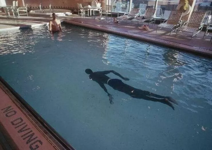 Stunning images revealing the world differently - #14 