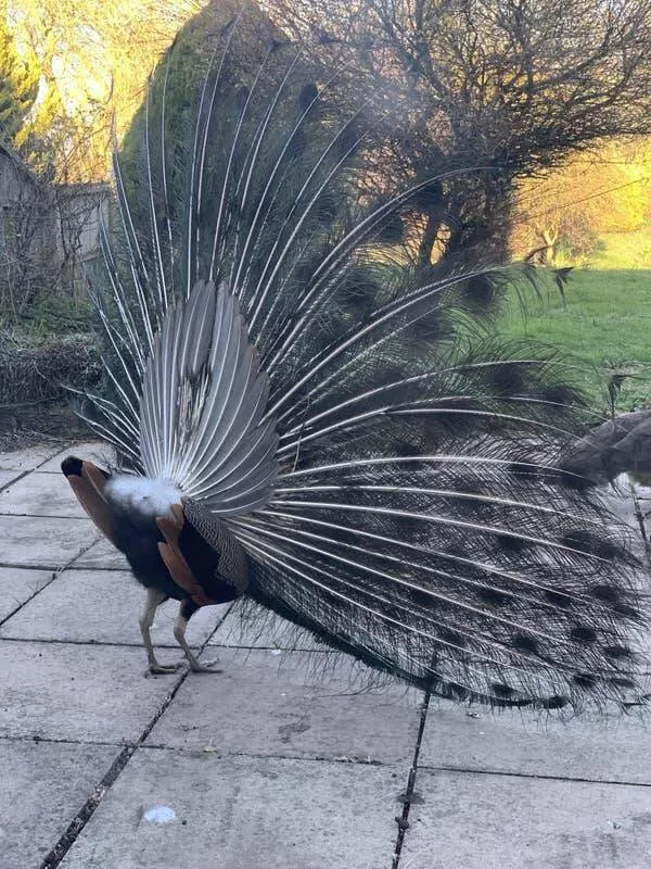 Stunning images revealing the world differently - #8 