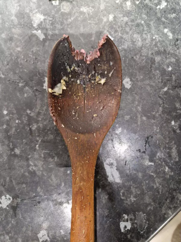 Moments that yell bad day - #2 I started preparing dinner, and it looks like someone tried to chew on my wooden spoon.