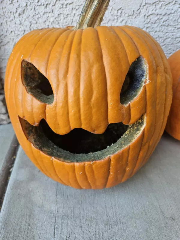 Moments that yell bad day - #8 Just four days ago, my son carved his first jack-o'-lantern, and now it looks like this.