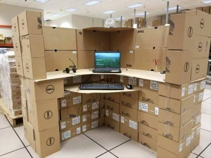 Picdump 951 - #12 