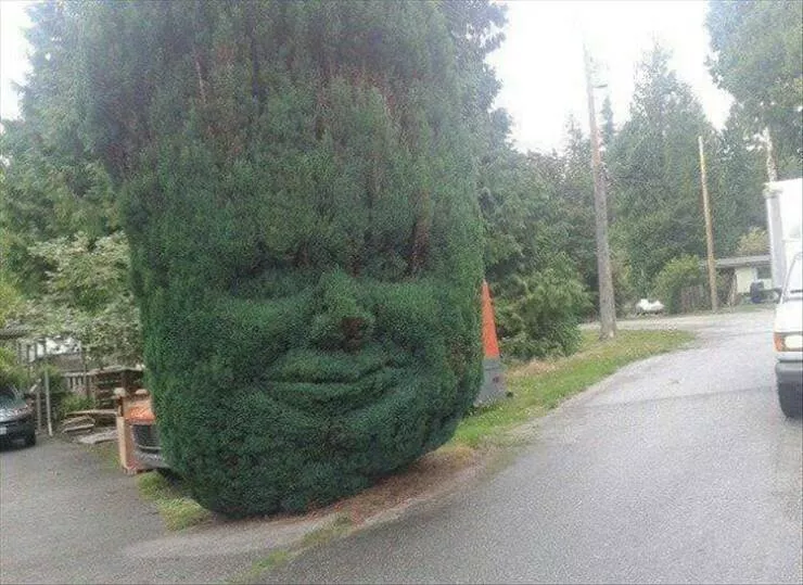 Picdump 951 - #37 