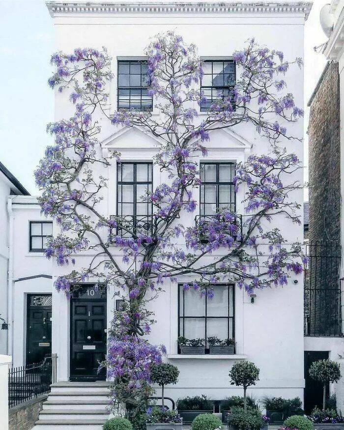 When architects hit the mark - #2 