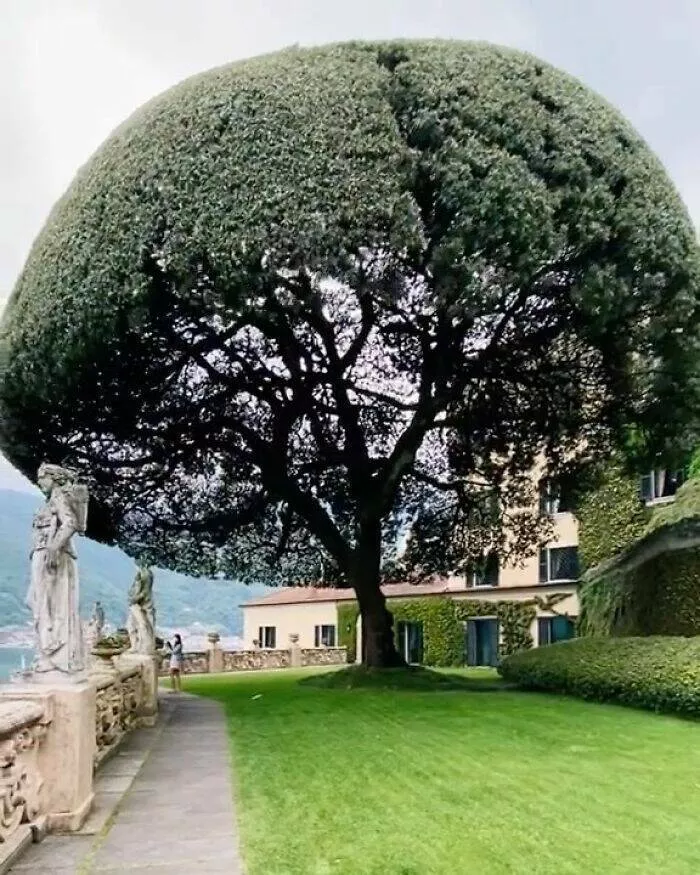 Quand les architectes ont frappe dans le mille - #42 