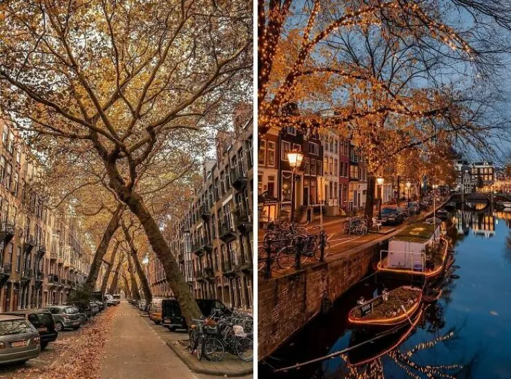 Quand les architectes ont frappe dans le mille - #8 