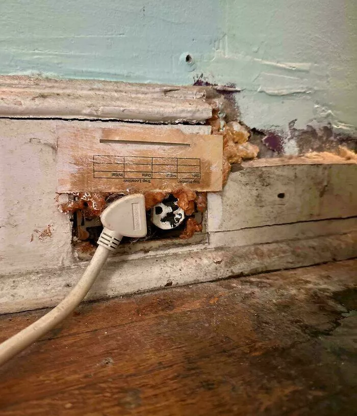 Apartment life struggles hilarious glimpses into shared living woes - #11 Show me you're a renter in one picture. Apartment life struggles hilarious glimpses into shared living woes - #11 Show me you're a renter in one picture.