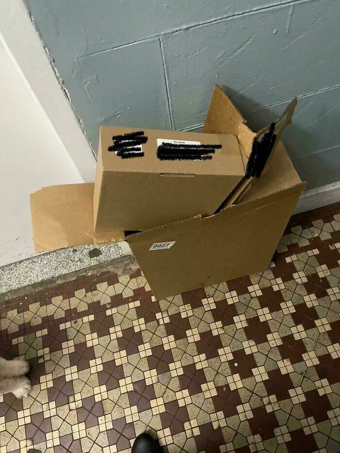 Apartment life struggles hilarious glimpses into shared living woes - #12 My neighbor returned a stolen package one year later. Apartment life struggles hilarious glimpses into shared living woes - #12 My neighbor returned a stolen package one year later.