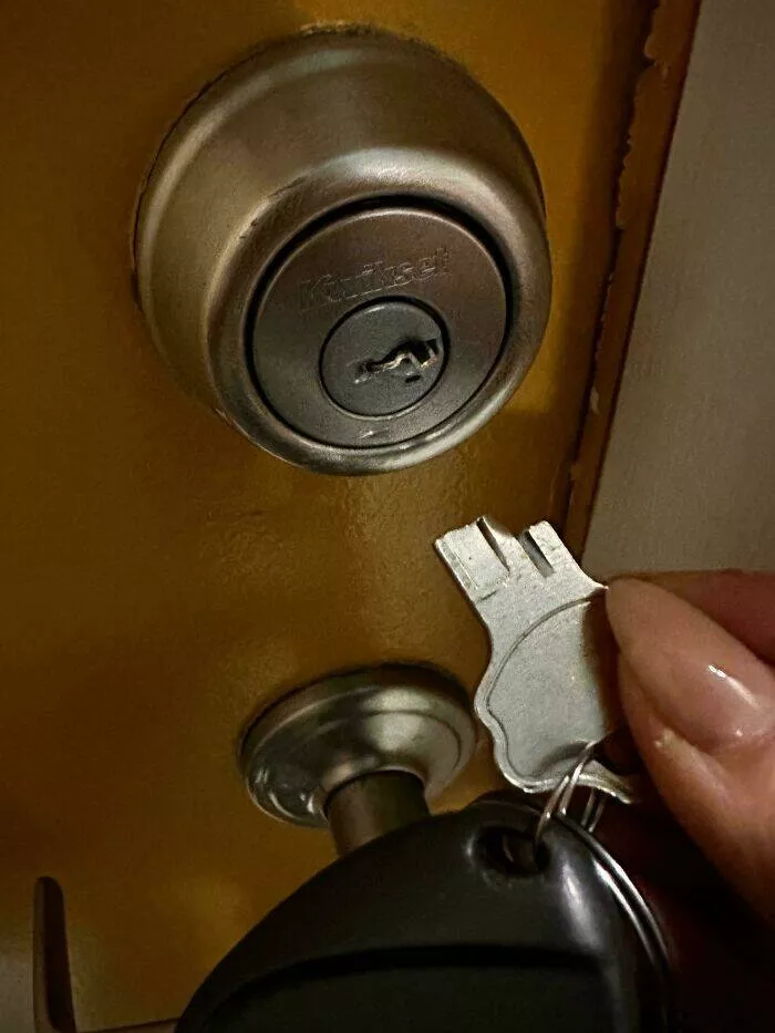 Apartment life struggles hilarious glimpses into shared living woes - #13 Do you think I can ask for reimbursement for this? Apartment life struggles hilarious glimpses into shared living woes - #13 Do you think I can ask for reimbursement for this?