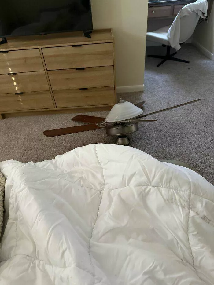 Apartment life struggles hilarious glimpses into shared living woes - #15 My ceiling fan fell on me while I was sleeping. Apartment life struggles hilarious glimpses into shared living woes - #15 My ceiling fan fell on me while I was sleeping.