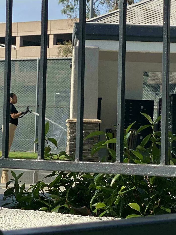 Les lutte de la vie en appartement apercus hilarants des galeres de la colocation - #19 Je suis sorti ce matin avec mon chien et j'ai vu la femme de ménage de mon complexe arroser les boîtes aux lettres avec un tuyau à pleine puissance.