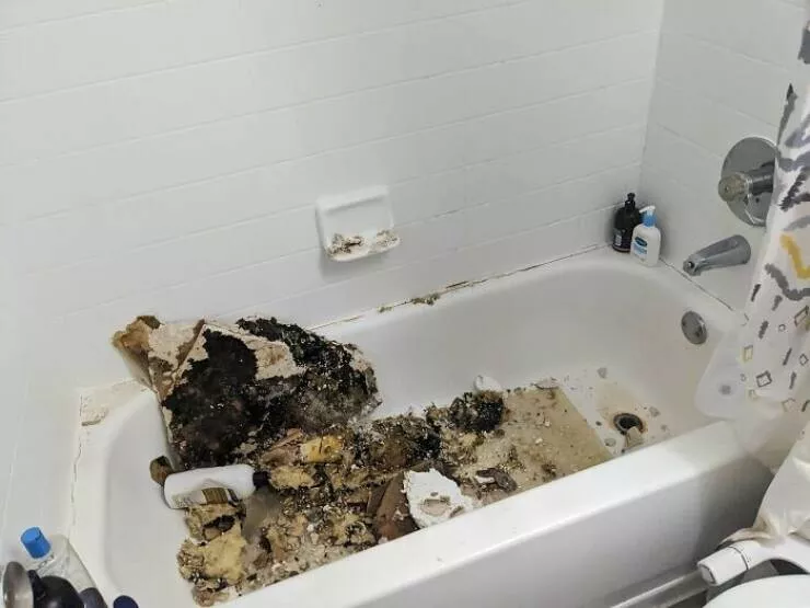 Apartment life struggles hilarious glimpses into shared living woes - #27 