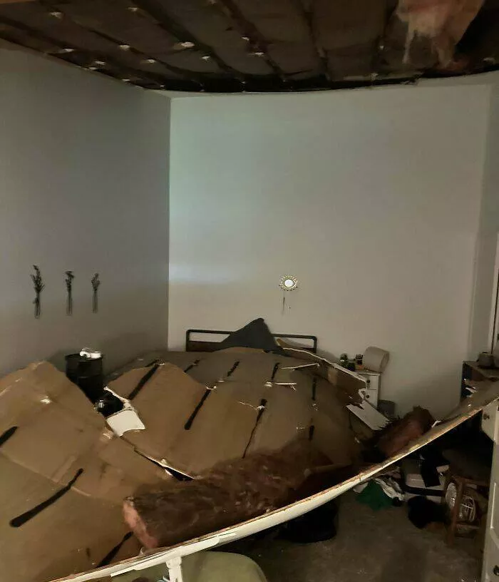 Les lutte de la vie en appartement apercus hilarants des galeres de la colocation - #29 