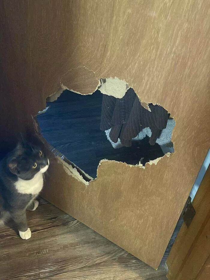Apartment life struggles hilarious glimpses into shared living woes - #6 My ex kicked a hole through my door, and I was quoted $675 for repairs. Apartment life struggles hilarious glimpses into shared living woes - #6 My ex kicked a hole through my door, and I was quoted $675 for repairs.