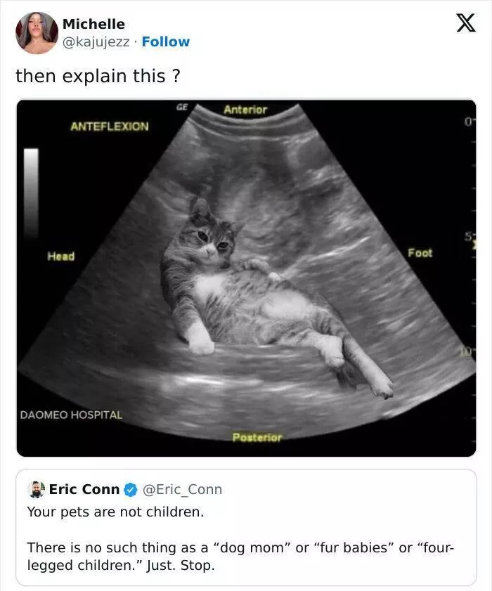 Octobers funniest tweets that deserve a standing ovation - #10 