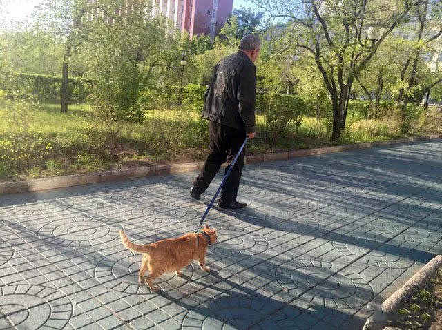 Welcome to russia madness in its pure form - #28 