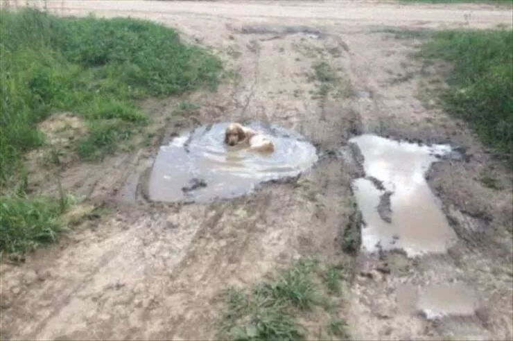 Picdump 953 - #16 
