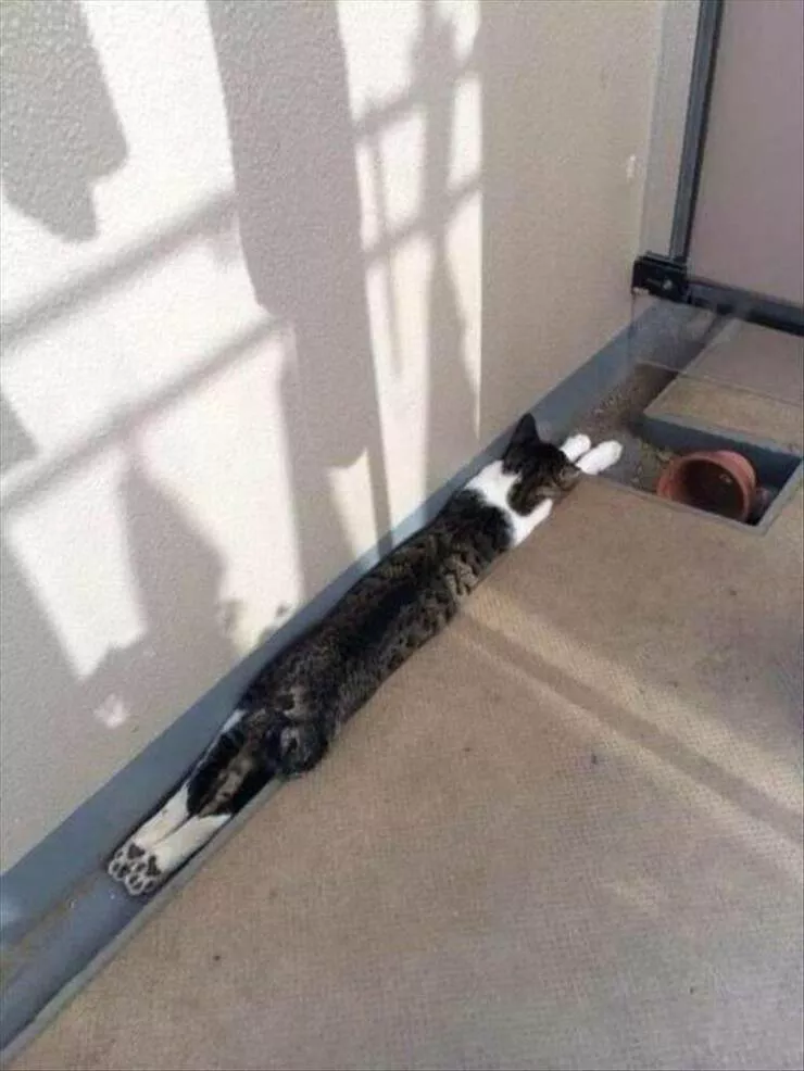 Picdump 953 - #27 
