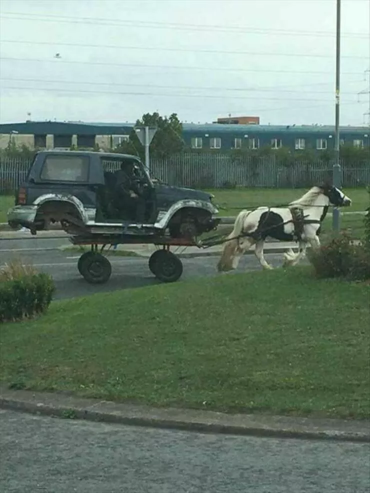 Picdump 953 - #28 