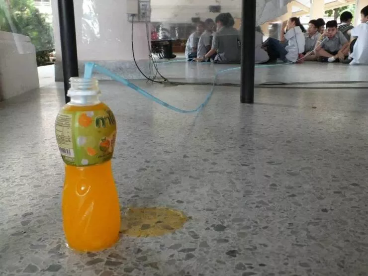 Picdump 954 - #13 