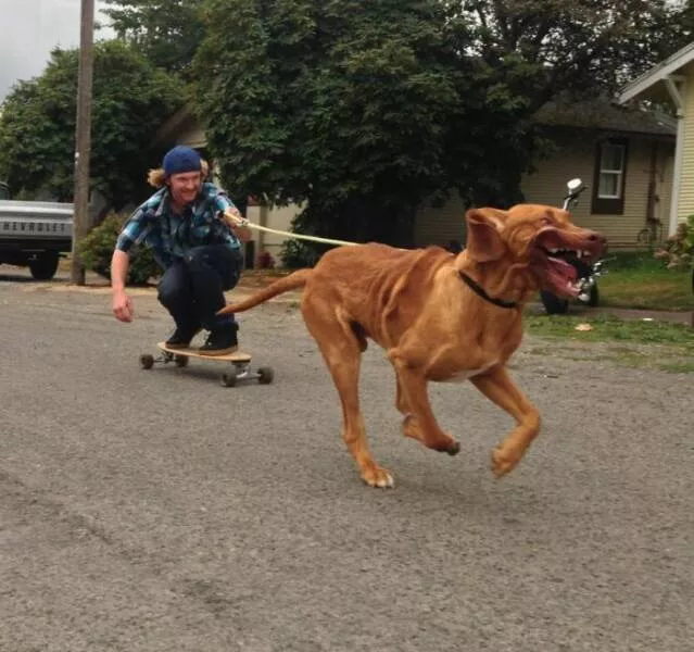 Picdump 954 - #20 