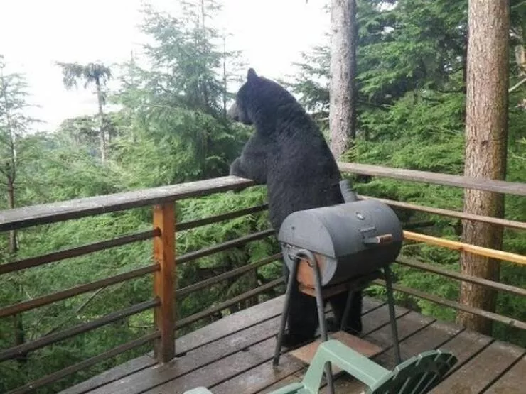 Picdump 954 - #29 