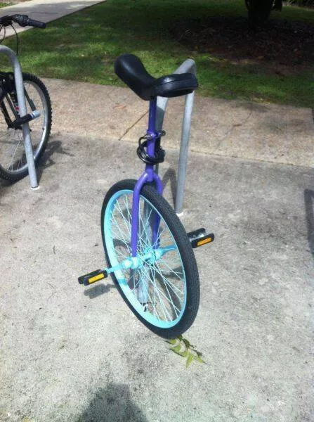 Picdump 954 - #40 