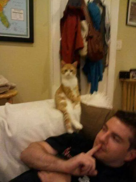 Picdump 954 - #43 