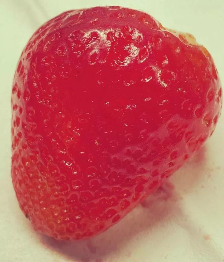 Photos curieusement intrigantes qui eveillent votre curiosite - #15 Ma fille de 7 ans a retiré toutes les graines de fraise avec une pince à épiler.