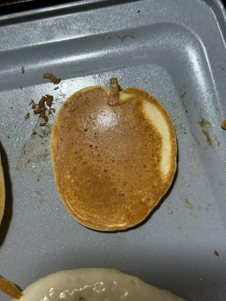 Intriguingly curious photos that ignite your interest - #24 I made a pancake that randomly resembles an apple.