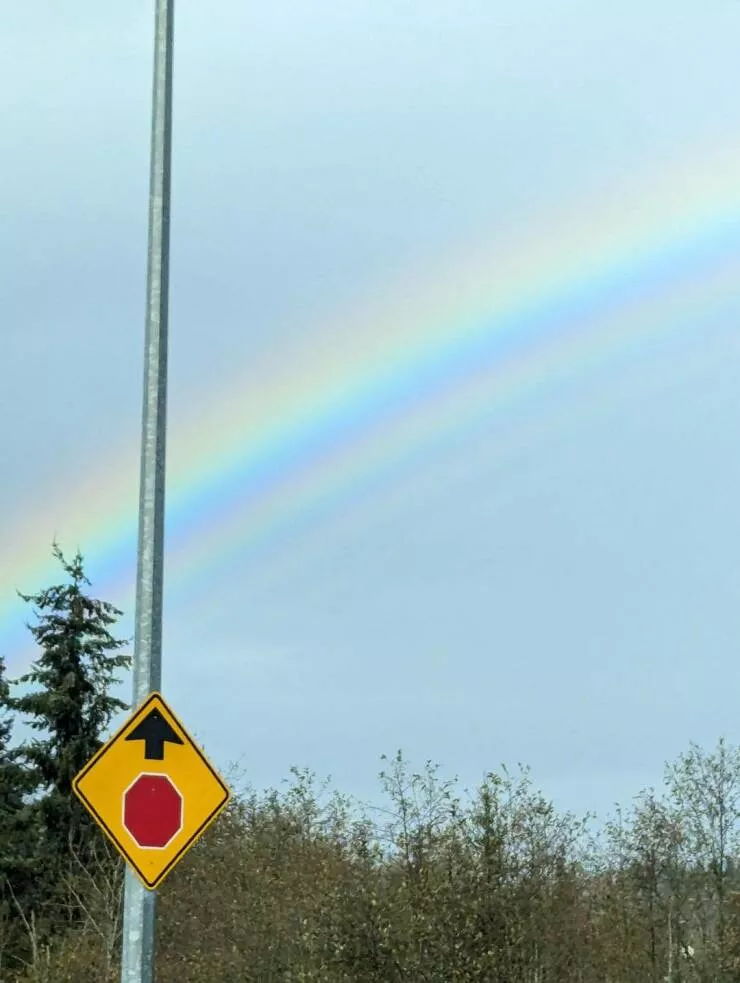 Photos curieusement intrigantes qui eveillent votre curiosite - #26 J'ai vu un arc-en-ciel avec un motif répétitif.