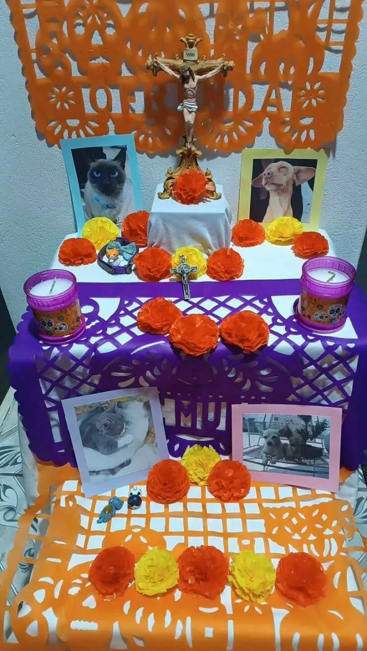 Intriguingly curious photos that ignite your interest - #28 On October 27th in Mexico, we celebrate the Day of the Dead for pets.