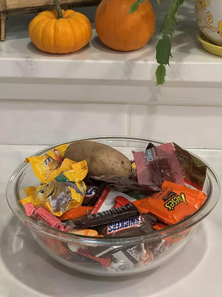 Intriguingly curious photos that ignite your interest - #29 Someone gifted my child a potato tonight.