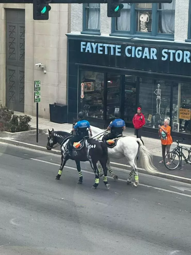 Intriguingly curious photos that ignite your interest - #36 These mounted police horses in Kentucky are dressed up for Halloween.