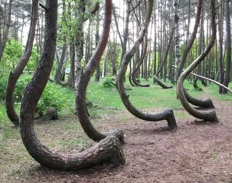 Picdump 955 - #29 