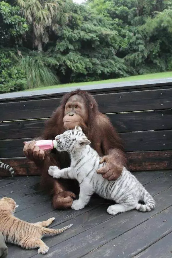 Picdump 955 - #5 