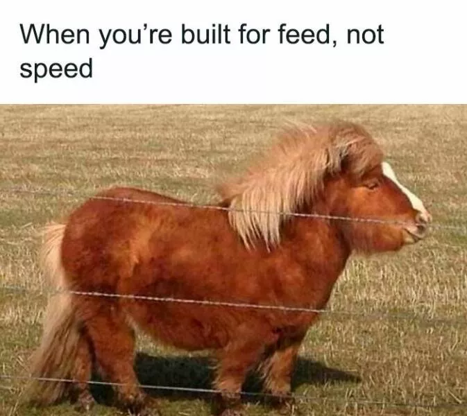 Randomly funny memes to lighten your mood - #11 