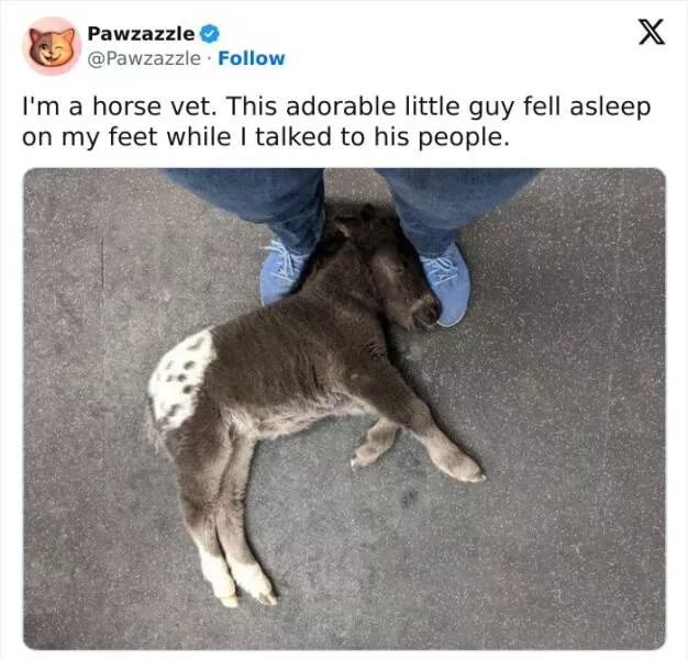 Randomly funny memes to lighten your mood - #5 