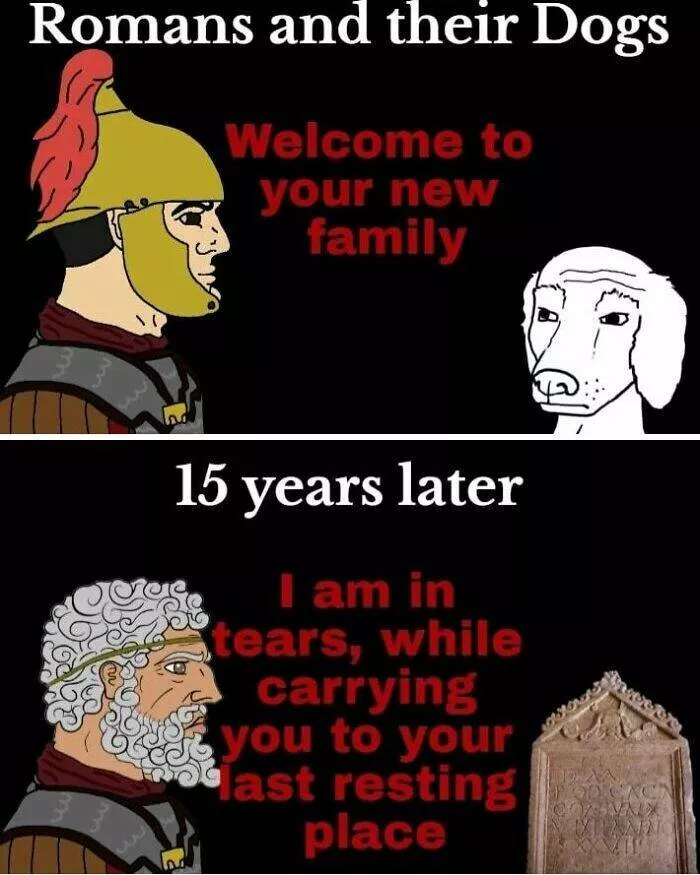 Memes that make history way more entertaining and fun - #7 