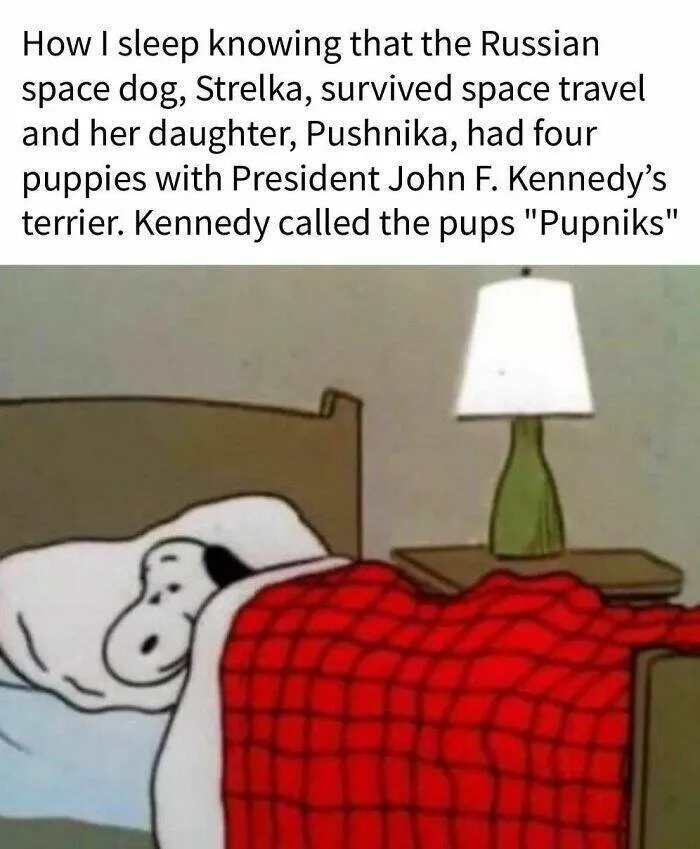 Memes that make history way more entertaining and fun - #8 