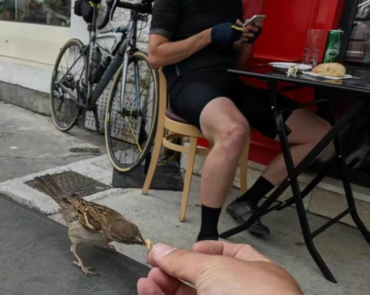 Picdump 957 - #36 