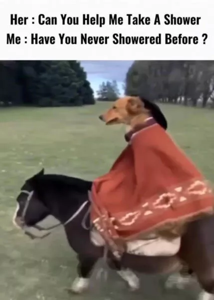 Dont laugh if you dont want to lose - #10 Dont laugh if you dont want to lose - #10