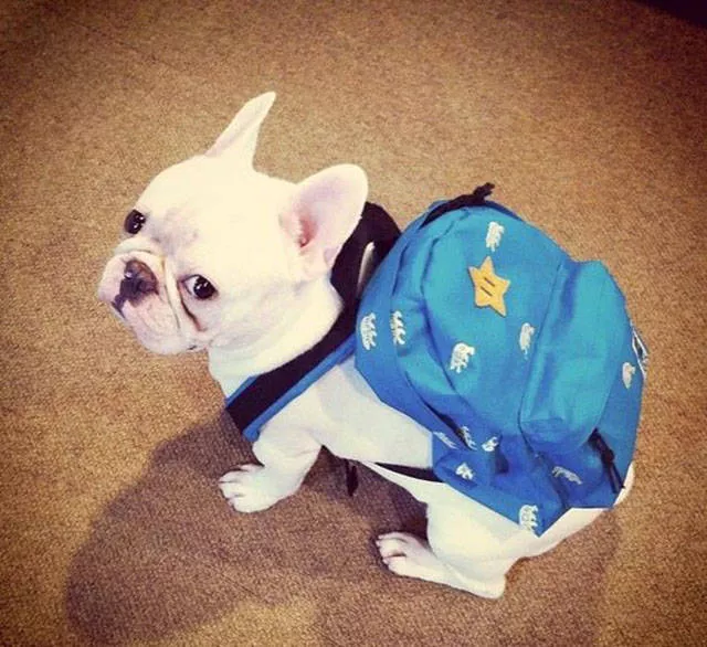 Picdump 15 - #11 