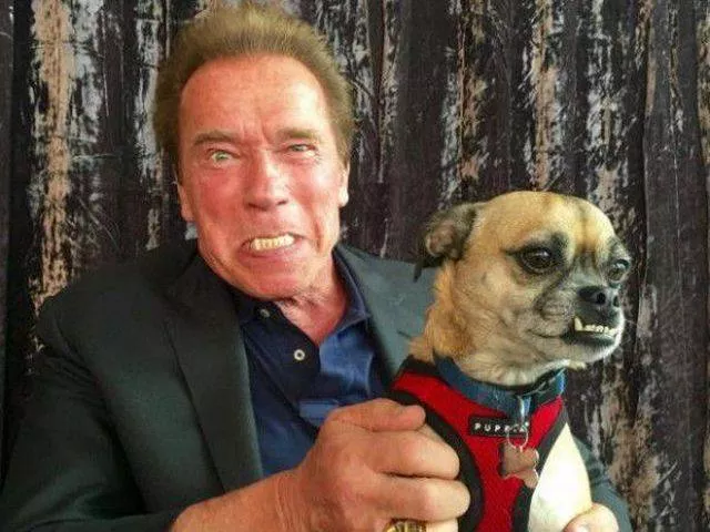 Picdump 15 - #17 