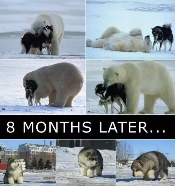 Picdump 15 - #34 