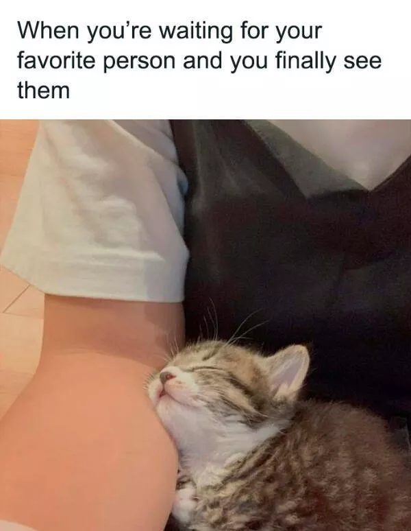 A minute of wholesomeness - #15 