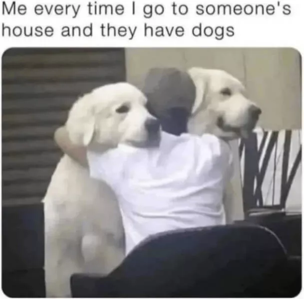 A minute of wholesomeness - #19 