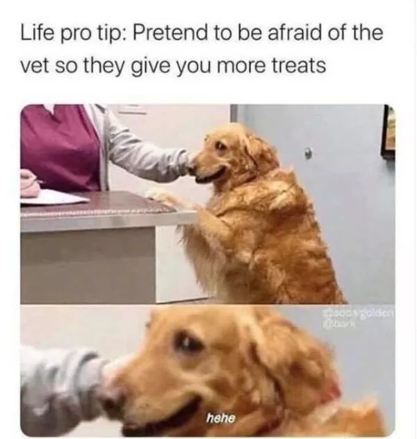 A minute of wholesomeness - #21 
