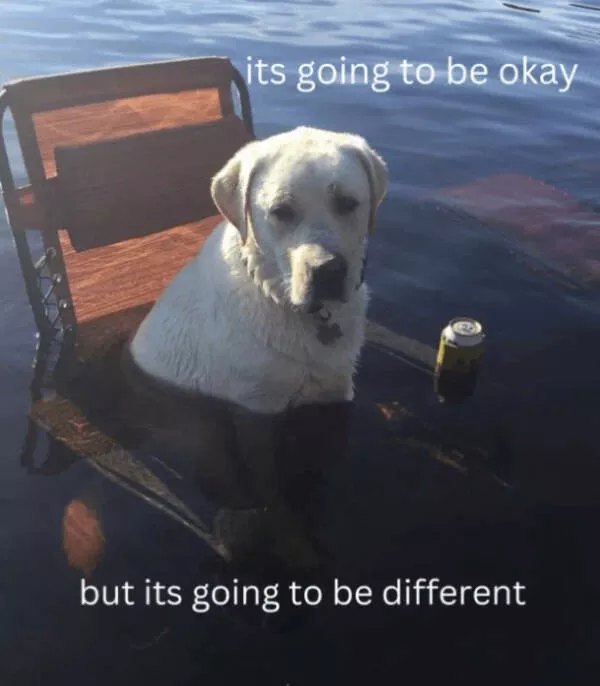A minute of wholesomeness - #23 
