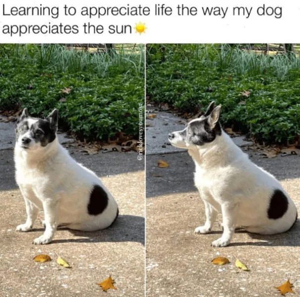 A minute of wholesomeness - #24 